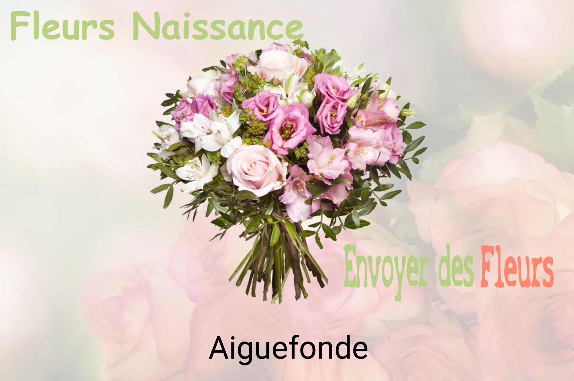 Bouquet de fleurs de naissance livré à Aiguefonde